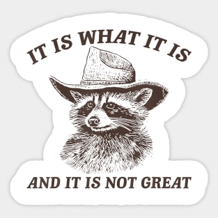 It Is What It Is And It Is Not Great Raccoon Sticker